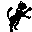 [black cat]